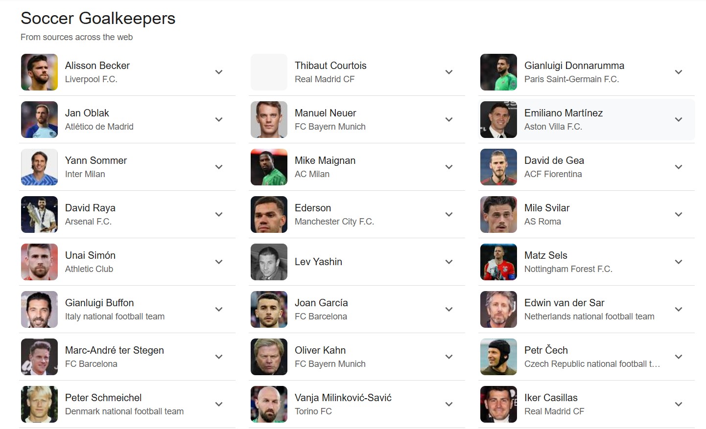 Best goalkeepers in the world