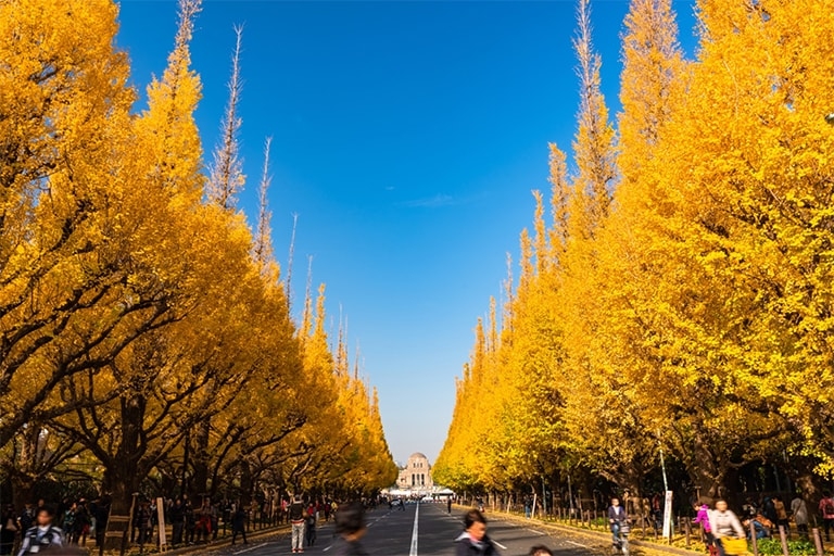 yellow spring road japan