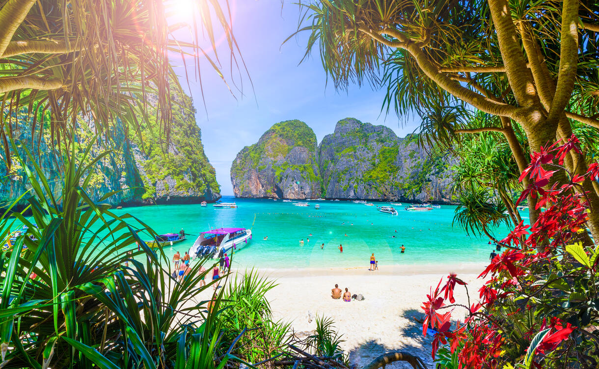 maya bay